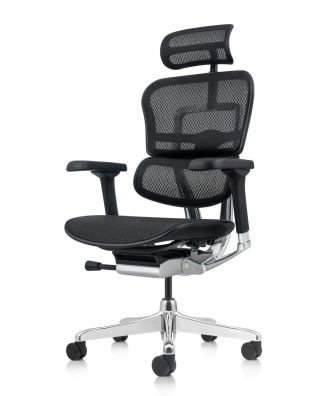 Ергономичен стол ERGOHUMAN ELITE G2 MESH