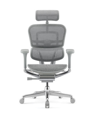 Ергономичен стол ERGOHUMAN ELITE G2 MESH GREY