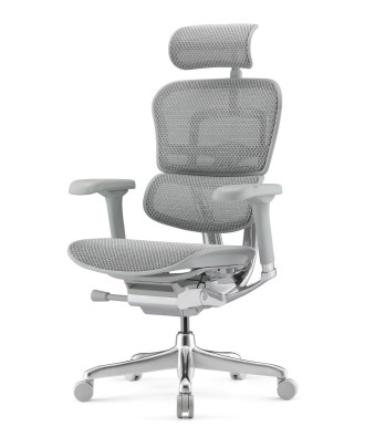 Ергономичен стол ERGOHUMAN ELITE G2 MESH GREY