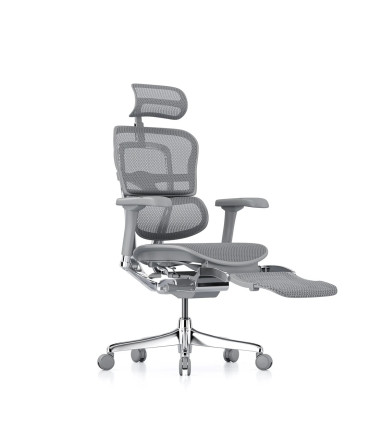 Ергономичен стол ERGOHUMAN ELITE G2 MESH GREY LEGREST