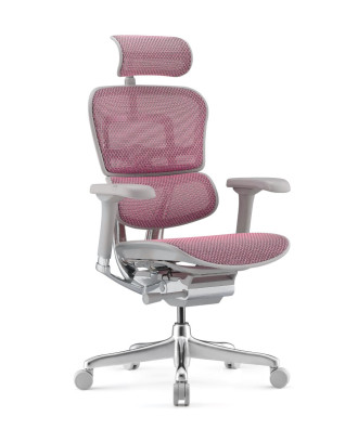 Ергономичен стол ERGOHUMAN ELITE G2 MESH GREY