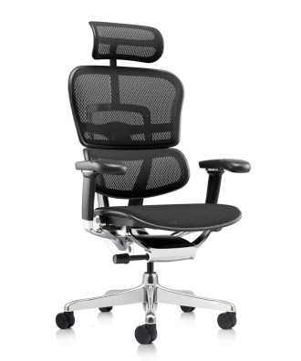 Ергономичен стол ERGOHUMAN ELITE G2 PRO MESH..