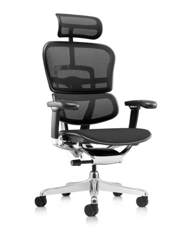 Ергономичен стол ERGOHUMAN ELITE G2 PRO MESH