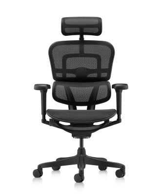 Ергономичен стол ERGOHUMAN ULTRA MESH BLACK