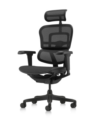 Ергономичен стол ERGOHUMAN ULTRA MESH BLACK