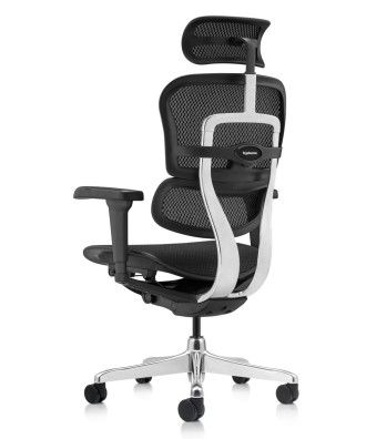 Ергономичен стол ERGOHUMAN ULTRA MESH