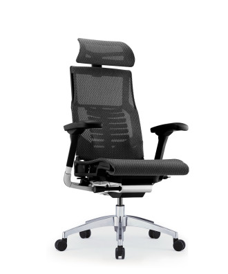 Ергономичен стол POFIT 2